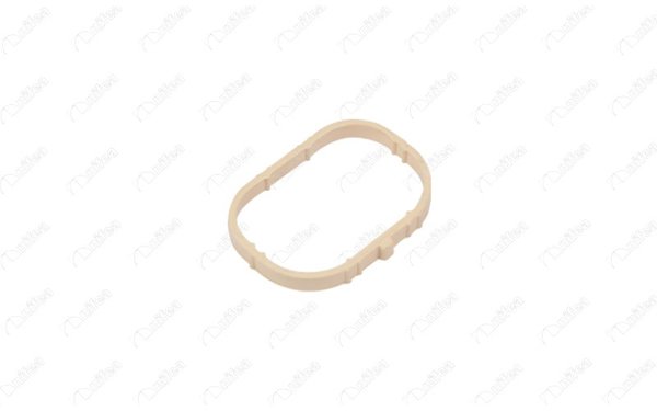 NIFEA 11631 | Emme Manifold Contası Megane-Laguna-Clio 1.6 16V K4m | 5 Adet