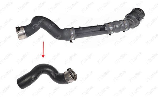 NIFEA 11774 | Turbo Hortumu Kangoo II 1.5 DCI