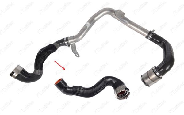 NIFEA 12783 | Turbo Hortumu Metal Boru Hariç Ok Ile Gosterılen Büyük Hortum Nv400 Movano B Master III 10 > (144605