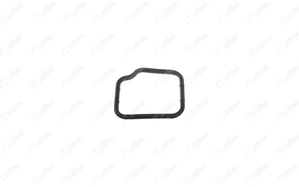 NIFEA 14637 *5 | Termostat Contası Fiorino Linea Doblo Alb. G.Punto Evo Corsa 1,3 Multijet | 5 Adet