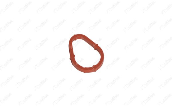 NIFEA 14782 | Vakum Pompa Contası C1 / C2 / C3 | 5 Adet