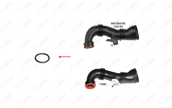 NIFEA 17596 | Turbo Borusu Contası P207 208 308 3008 Partner / Scudo / Mini R56 24.00 X 3.00mm | 5 Adet