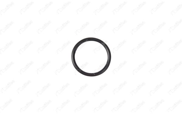 NIFEA 17699 | Emme Manifold Contası Berlingo | 4 Adet