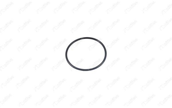 NIFEA 33637 | Manifold Boğaz Contası (Halka, Om651) W176 12 > 14 W246 14 > 18 W204 08 > 14 W205 14 > 18 W212 09 > 16 Viano W