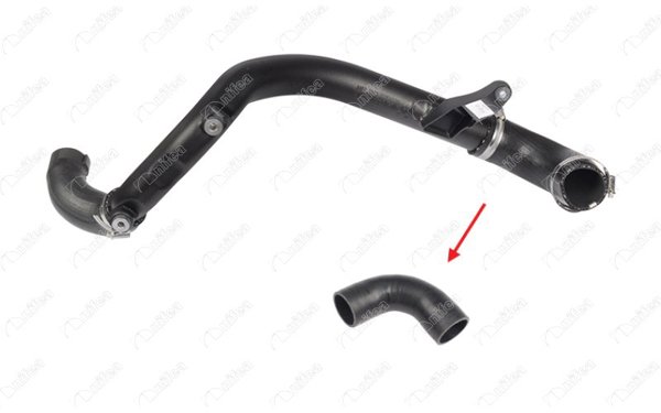 NIFEA 35019 | Turbosarj Hortumu Sol Mini W16 R55 R56 Büyük Cooper D 07-10