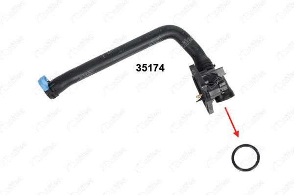 NIFEA 35176 *10 | Termostat Gövde Contası (Arka) N13 F20 F30 | 10 Adet