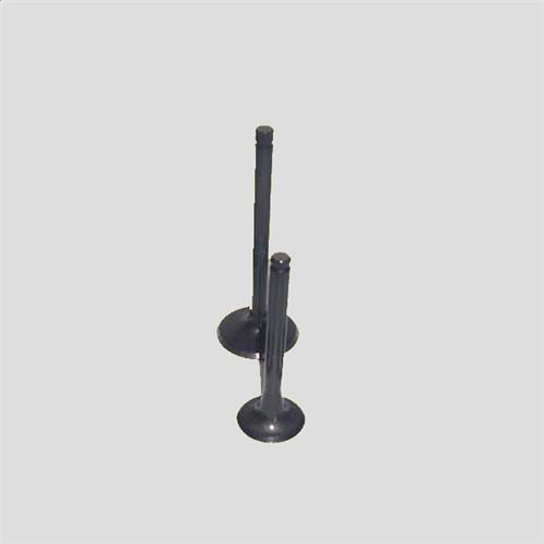 SUPSAN VT4059640597 | Takım Subap (16V) Peugeot 306 Gtı 20 16V Xu10j4rs