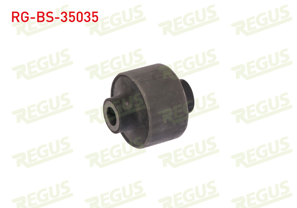 REGUS RG-BS-35035 | Salıncak Burcu Ön Sol-Sağ Alt Renault Master III (Fv) 2.3 DCI 2010 -