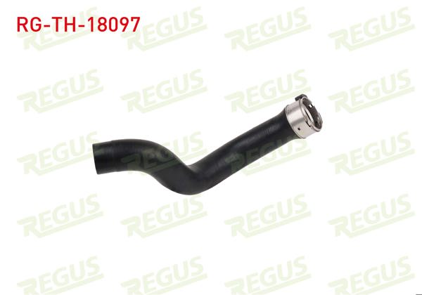 REGUS RG-TH-18097 | Turbo Hortumu Egea 1.3 Mtj 2015 -