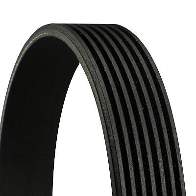 CONTINENTAL CTAM 7PK1338 | V Kayışı Daily V VI Bm 11 -