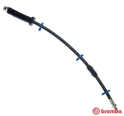 BREMBO T61066 | Ön Fren Hortumu Peugeot Boxer-Citroen Jumper-Fiat Ducato 94 > 02