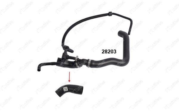 NIFEA 28163 | Radyatör Üst Hortumu Lt35 Volt 2.5Tdı