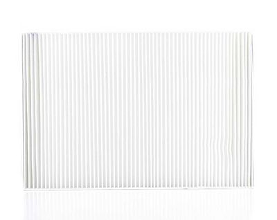 BSG 60-145-001 | Polen Filtresi Karbonsuz Çerçevelı