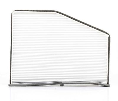 BSG 90-145-008 | Polen Filtresi E998lı / La 181 (Karbonsuz)