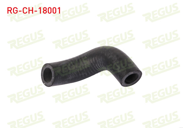 REGUS RG-CH-18001 | Devirdaim Hortumu Fiat Doblo (119,223) 1.9 JTD 2001-2010