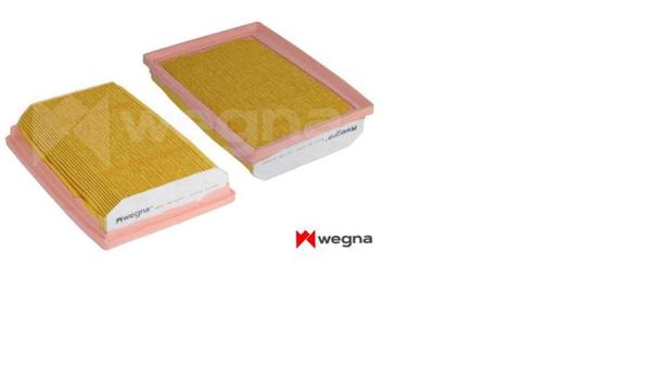 WEGNA WA2543-P | Hava Filtresi Fiat Egea 16 > 1.3D Mtj 1.4 1.6D Mtj 1.6 | 8 Adet