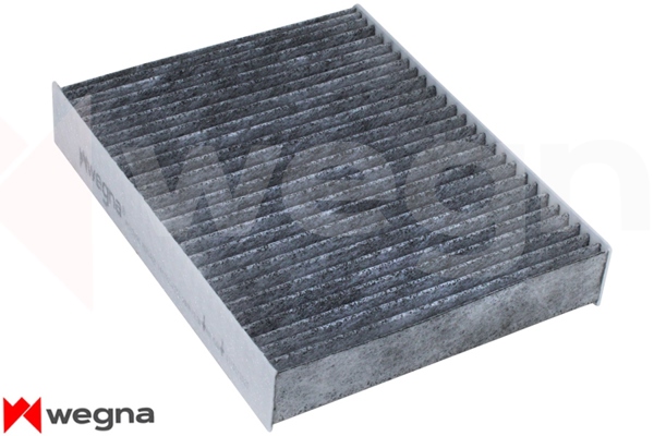 WEGNA WC3349C | Polen Filtresi BMW F20 F21 F22 F23 F87 F30 F31 F34 F35 F80 F32 F33 F36 F82 F83 Karbonlu