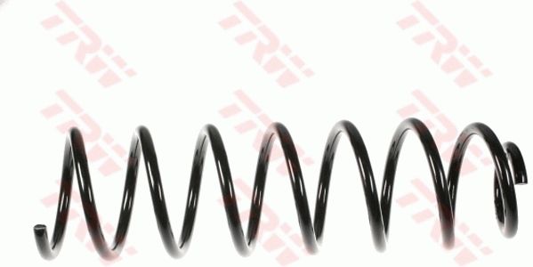 TRW JCS620 | Helezon Yayı Arka
