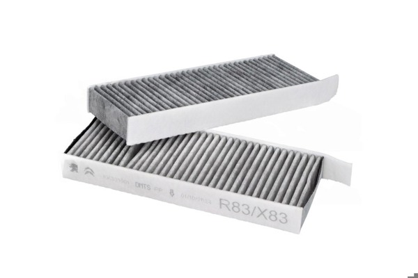 MOPAR (PSA) 1672367180 | Polen Filtresi / Ds9 (X83)