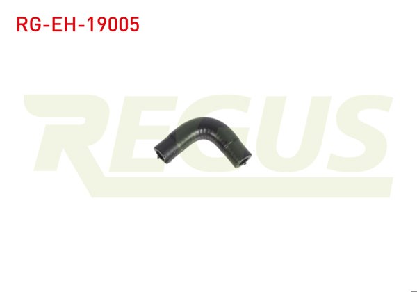 REGUS RG-EH-19005 | Silindir Kapak Hortumu Ford Transit (V184) 2.4 TDCI 2000-2006