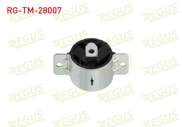 REGUS RG-TM-28007 | Şanzıman Takozu Arka M-T Mercedes Sprinter 3T (903) 308 CDI 1995-2006