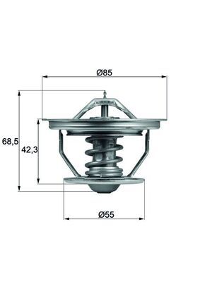 MAHLE TX5771 | Termostat 71°C Rvı Termostat