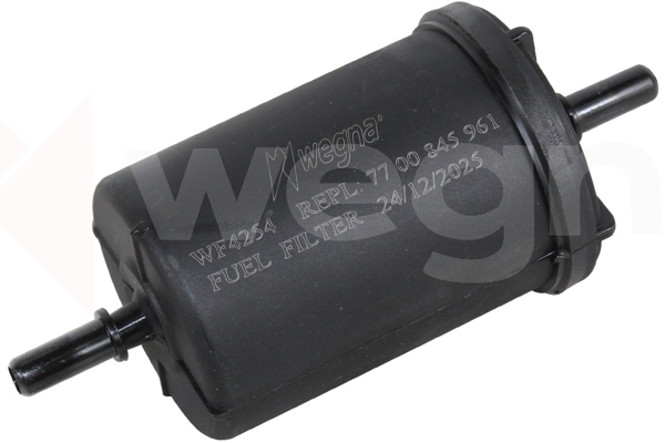 WEGNA WF4254 | Yakıt Benzin Filtresi