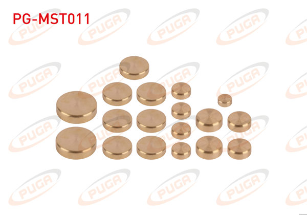 PUGA PG-MST011 | Motor Su Blok Tapası Takım Sarı Pırınc Kia Ceres