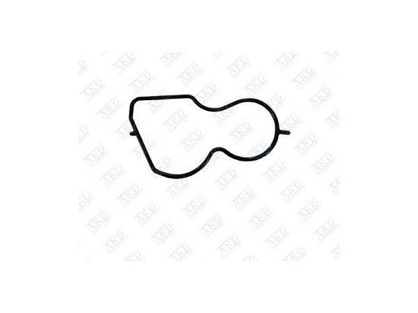 AKD 1206576 | Vakum Pompa Contası A17dt Dtc Dts Astra H Zafira B