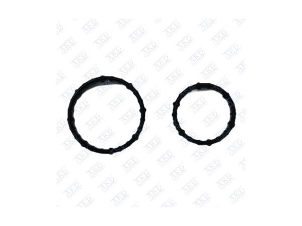 AKD 12601371 | Yağ Soğutucu O Rıng Takımı Astra J Insignia A A20nht Nft