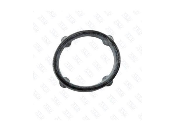 AKD 12644558 | Yağ Pompa Contası Büyük B10xft B14xft Astra K