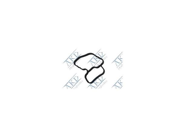 AKD 55578715 | A16xht B16sh Yağ Fılıtre Adaptor Contası 650153