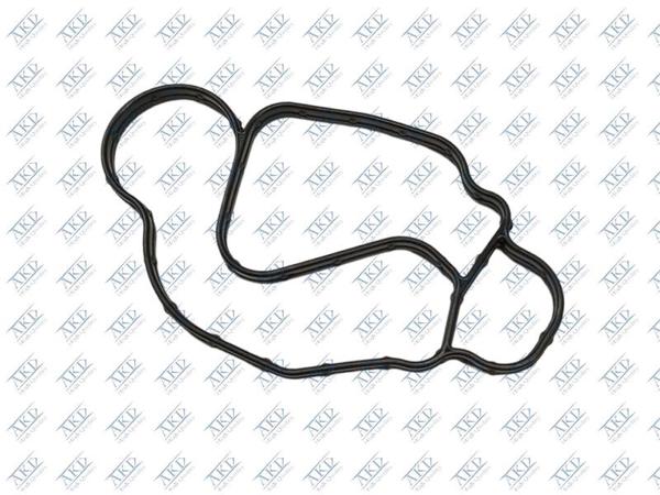 AKD 55587250 | Yağ Fılıtre Gövde Contası B20dt Insignia B