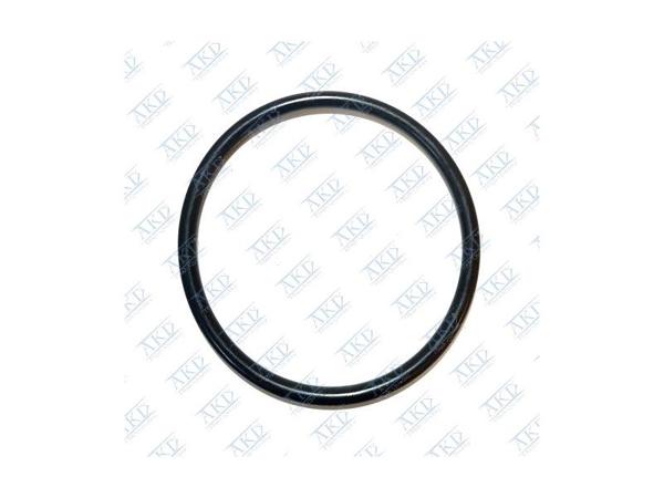 AKD 5650964 | Yağ Fılıtre Oring Insignia / Astra J / A16xer / A16let / 650172