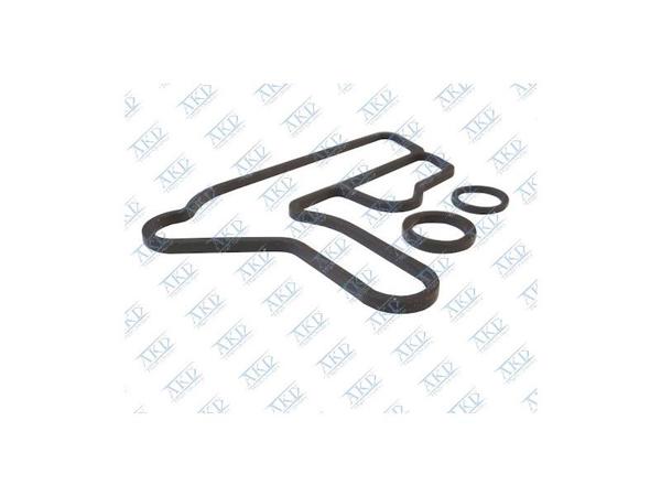 AKD 650217 | Yağ Soğutucu Oring Takımı A2.0Dt Insignia Astra J Zafira C (650184 İçin)