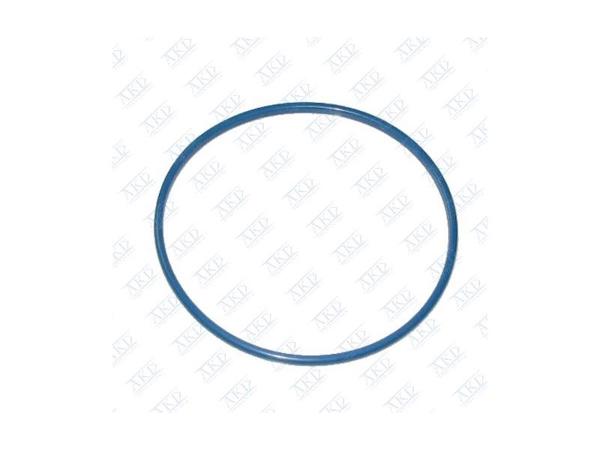 AKD 815164 | Yakıt Depo Pompa Orıngı Corsa D Corsa E