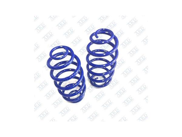 AKD OP111100 | Helezon Yayı Arka Takım Astra F