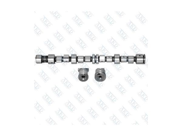 AKD OP123101 | Eksantrik Mili Astra F C14nz X14nz