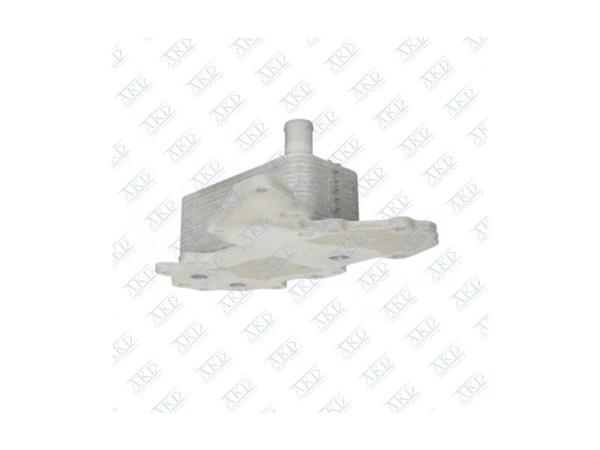 AKD OP146135 | Yağ Soğutucu Radyatörü Insignia B B20dth