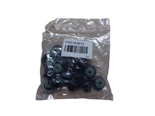 İTHAL 55183812 | Subap Lastiği Takım 1.9 Dth Astra H Zafira B Z20dtr Insignia 2.0Cdı Cruze 2.2 CDTI Captiva