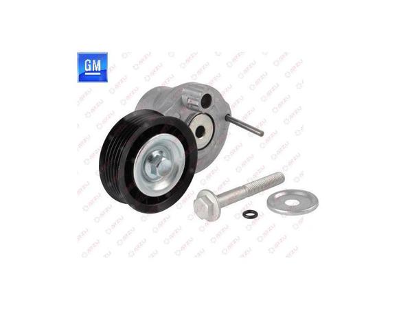 KORE 25192084 | Alternatör Gergi Rulmanı Komple A2.2 Dm Captiva Antara (Orjınal)