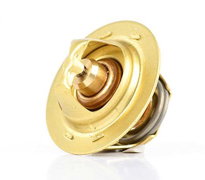 BSG 30-125-009 | Termostat 60Cc / Küçük Kafa