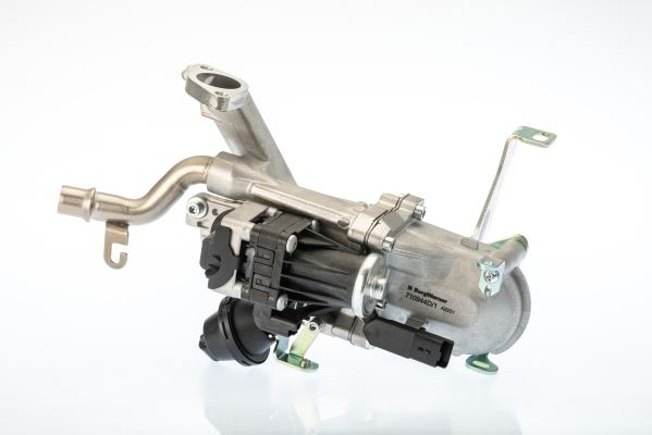BORGWARNER 710944D | EGR Valfi Komple