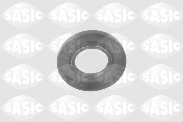 SASIC 1954004 | Aks Keçe Sağ Megane Clio