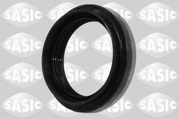 SASIC 1954018 | Aks Keçe Sağ Megane Clio