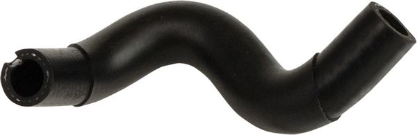 RAPRO R11238 | Su Pompa Hortumu Doblo 1,9D / JTD 00 >