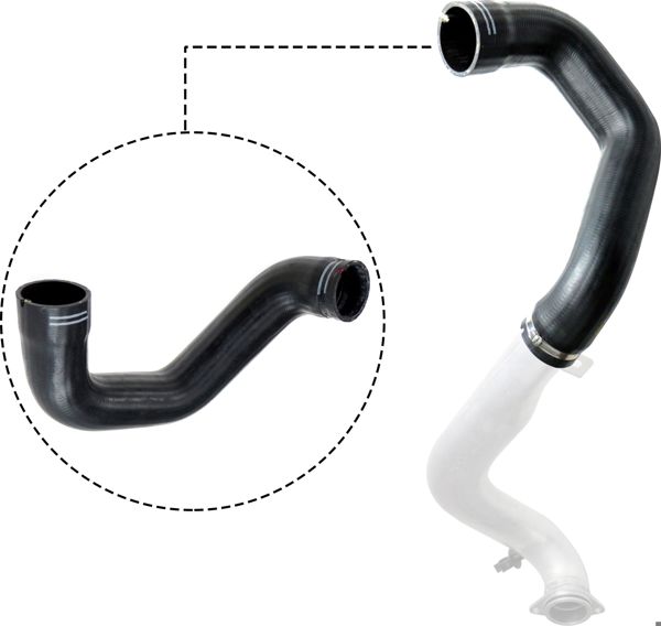 RAPRO R11772 | Turbo Hortumu