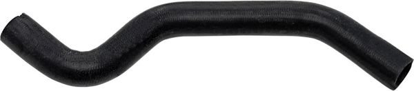 RAPRO R12359 | Radyatör Alt Hortumu Master Movano 2,2 / 2,5Dcı