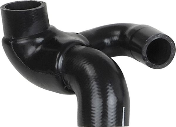 RAPRO R18202 | Su Pompa Hortumu Vectra A Astra F