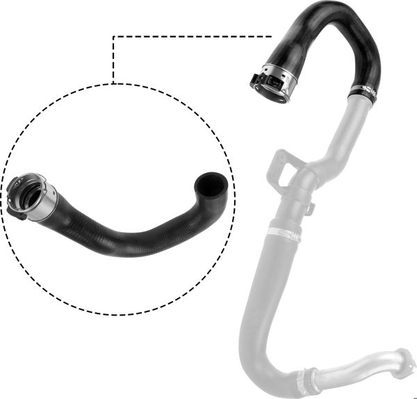 RAPRO R18349 | Turbo Hortumu